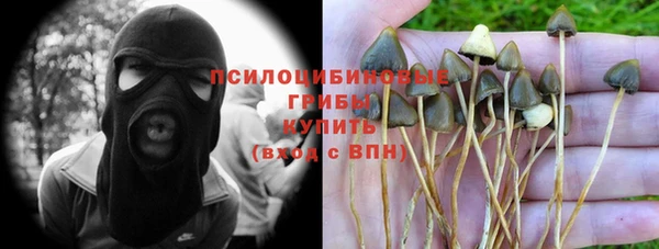 СК Володарск