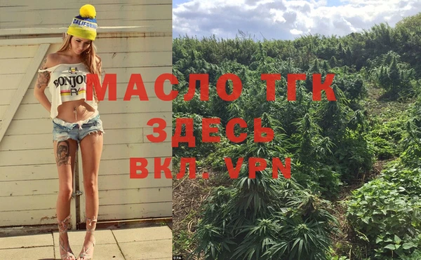 индика Волосово