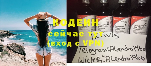 молекула духа Верхний Тагил