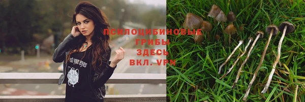 молекула духа Верхний Тагил